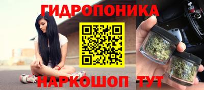 каннабис Камышлов