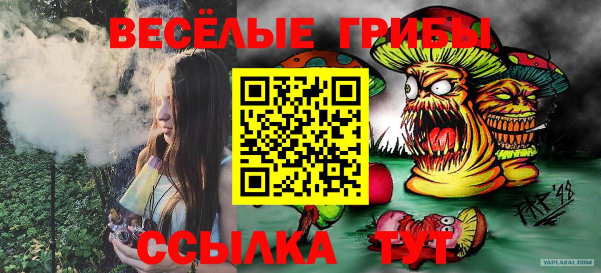 Галлюциногенные грибы Psilocybine cubensis  Вход с VPN  Краснокамск 